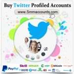 Buy Twitter Profiled Accounts